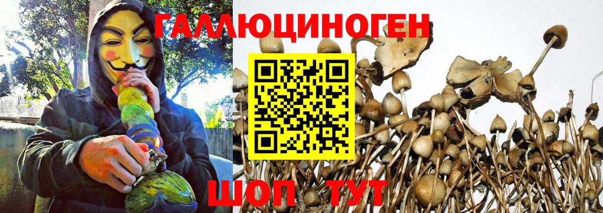 Галлюциногенные грибы прущие грибы Донской